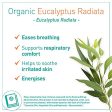 Puressentiel Puressentiel Huile Eucalyptus Radiã10 ml - 10 ml Embalaje Deteriorado Discount