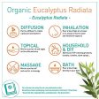 Puressentiel Puressentiel Huile Eucalyptus Radiã10 ml - 10 ml Embalaje Deteriorado Discount